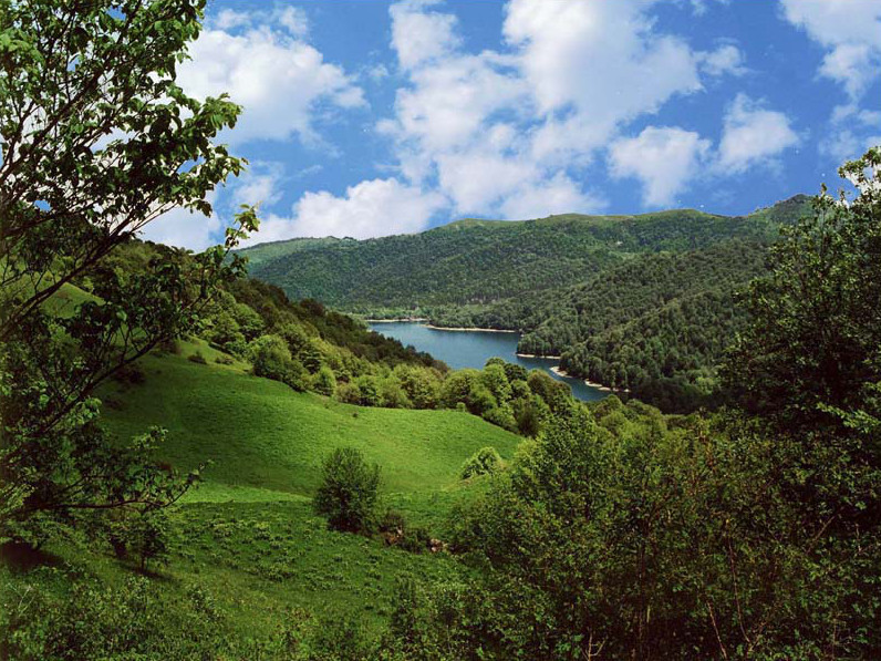 File:Göygöli looduskaitseala.jpg